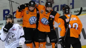 Grizzlys beißen in Nürnberg zu