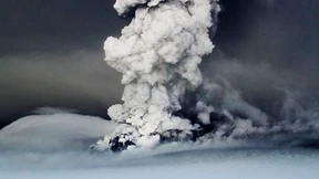 Küstenlinien, Stichlingsherz, Magmaschleudern