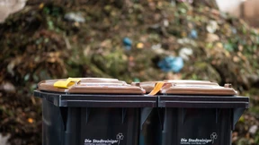 Verschärfte Biotonnen-Kontrollen in vielen Kommunen