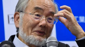 Medizin-Nobelpreis geht an den Japaner Yoshinori Ohsumi