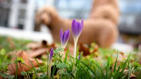 Wie wird das Wetter am Wochenende?