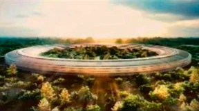 Die Antwort der Piraten