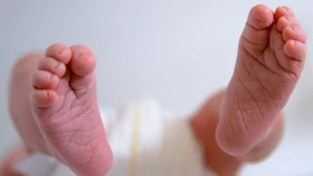 Eine Million „Erasmus-Babys“