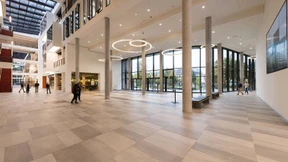 Zwischen „Bullshit“-Inhalten und Karriereleiter