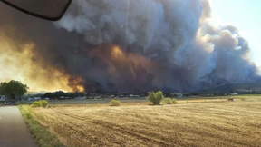 Schwerster Waldbrand des Jahres wütet in Südfrankreich