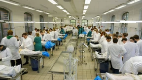 Beim Medizinstudium ist Deutschland jetzt dreigeteilt