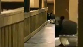 Da steht ein Bär auf dem Flur