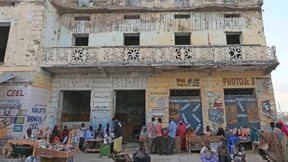 Kopfüber ins Haifischbecken