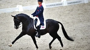 Das britische Gegenmodell