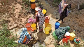 Hoffen auf ein Medikament aus der Tiermedizin