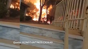 Mann rettet Katzen vor lodernden Flammen