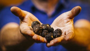 Der Schatz im Weinberg