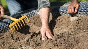 Garten-Sitter gesucht