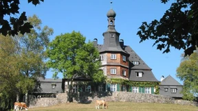 Warum die Schulbank nicht mehr drückt