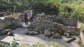Ein scheinbar idyllischer Fleck im Wald