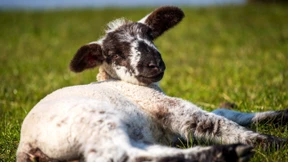 Wird es der sonnenreichste März seit fast 70 Jahren?