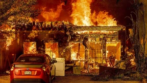 Hitzewelle sorgt für weitere Waldbrände