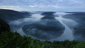 Wohin geht die Reise?