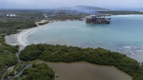 Die Küsten müssen grüner werden