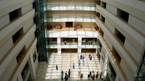 Spätgeburt der Bücherburg