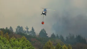 „Größter Waldbrand in der Geschichte Nordrhein-Westfalens“