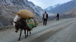 Der Tyrann ist tot, es lebe der Tyrann!