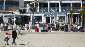 Pudel führt Detektive zu totgeglaubter Deutschen