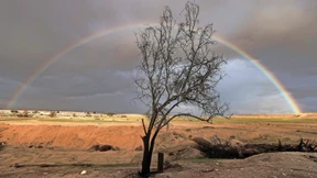 Unter der Last der Augusthitze im Negev