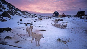 Die EU zögert mit einer harten Antwort