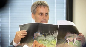 Haar-Analyse von Wildtier deutet auf Wildschwein hin