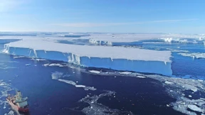 Wehe, diese Blase platzt