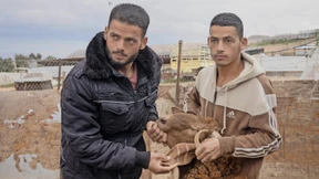 Die radikalen Siedler und der Schafsdiebstahl