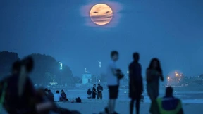 Ein Teil von mir ist nur noch Fressen für die Tiere