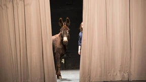 Kunst aus flachen Ländern