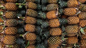 Ananas, der Zartmacher fürs Fleisch