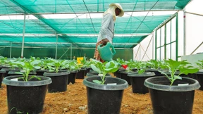 Gegenwind für Investmentbanken