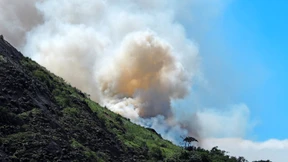 Schatten, Salz und Meditationen
