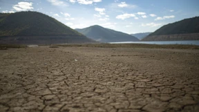 2022 war in vielen Ländern Europas das wärmste jemals gemessene Jahr