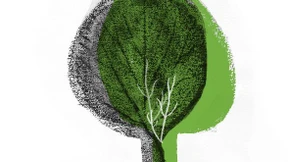 Demokratie unter der Linde