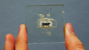 Er machte die digitale Revolution möglich