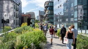 Schöner Garten ohne Gezupfe