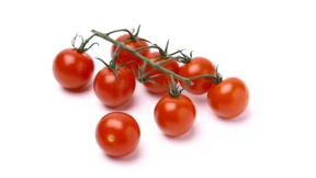 Wasserbomben aus Amsterdam