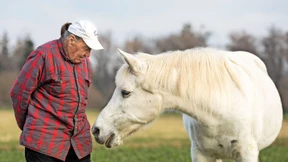 Die Stute Jenny wandert wieder