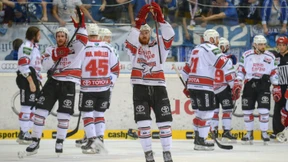 Die Haie schlagen zurück