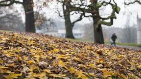 Es bleibt nass und recht mild