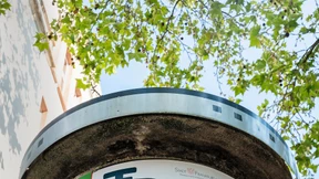 Genügsame Pflanzen statt Blütenpracht