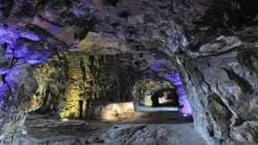 Das pralle Leben tobt in der Unterwelt