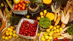 Welche Lebensmittel teuer werden – und welche nicht