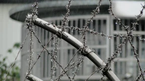 Warum Asiens Vorzeigestaaten Menschen töten