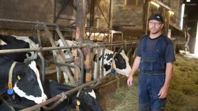 Weniger Milchkühe im Stall, weniger Verluste